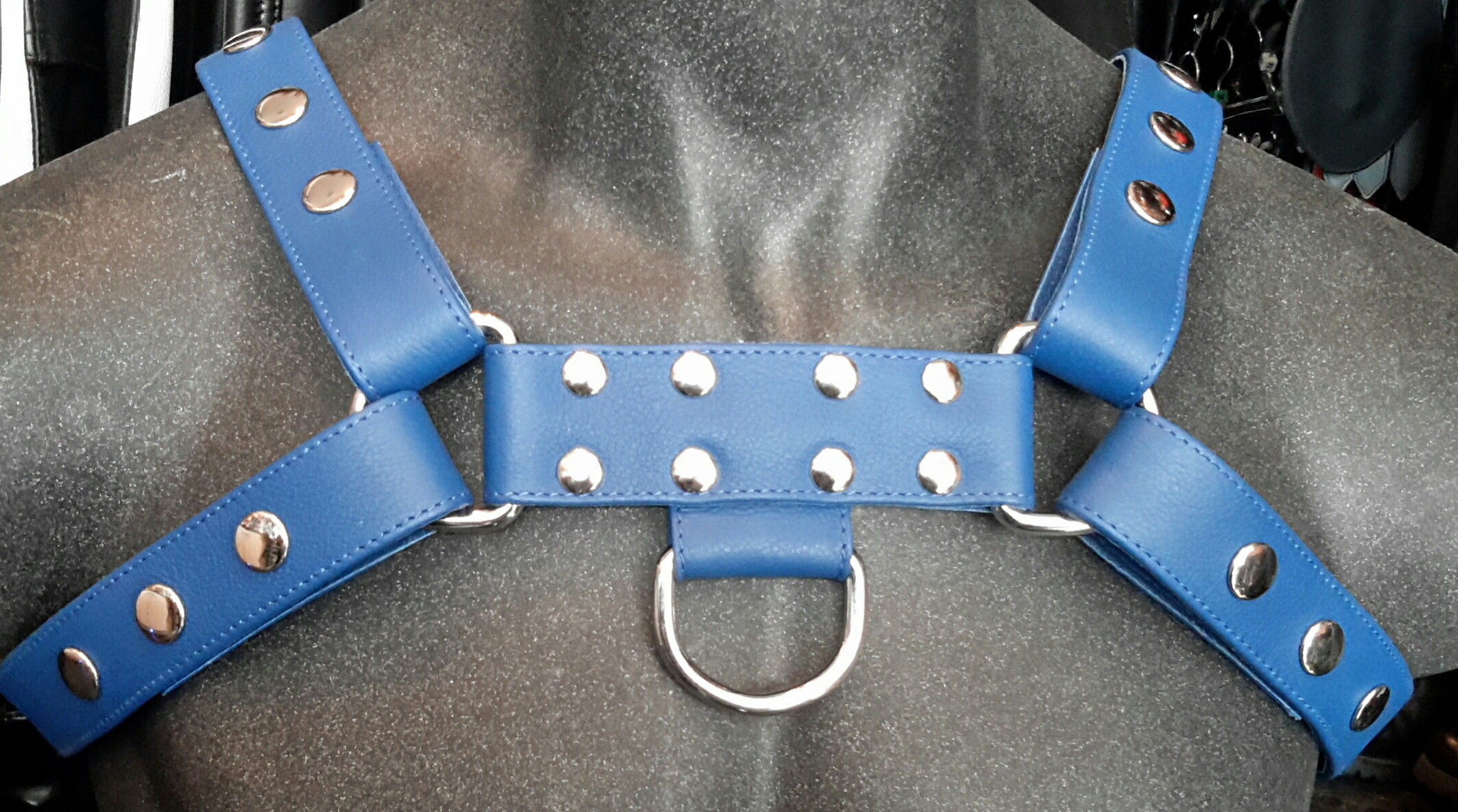 Leather Fetish Freak O.T.S Harness,  Blue.